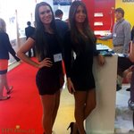 anketa_1